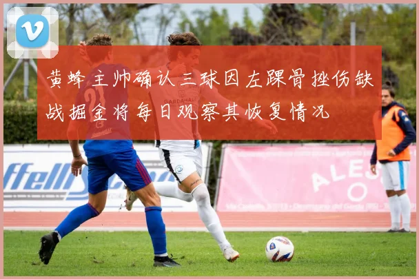 黄蜂主帅确认三球因左踝骨挫伤缺战掘金将每日观察其恢复情况